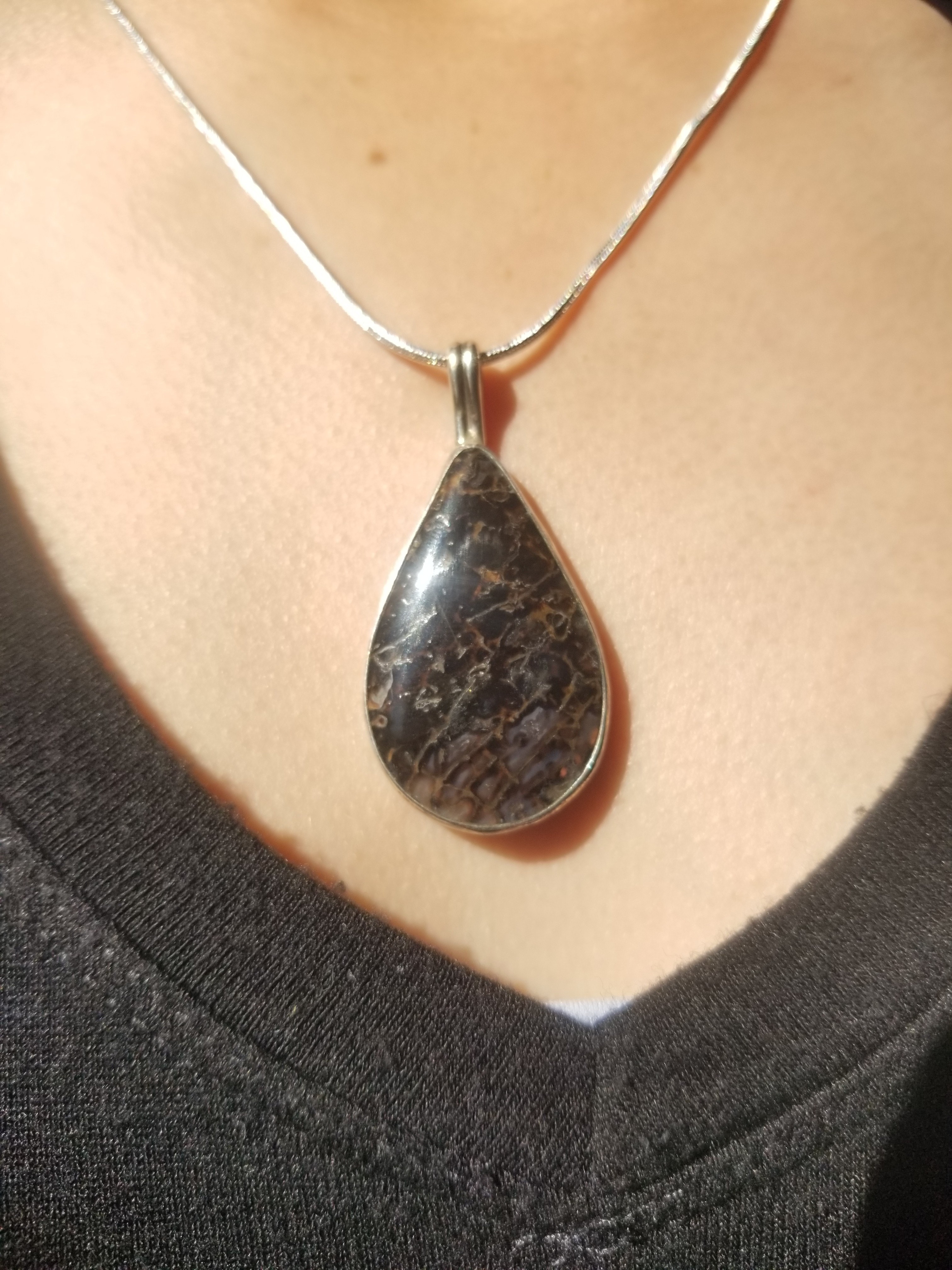 Incredible Translucent Spiderweb Agatized Dinosaur Gem Bone Custom Handmade Silver Pendant Artisan Jewelry - 2” x 1”