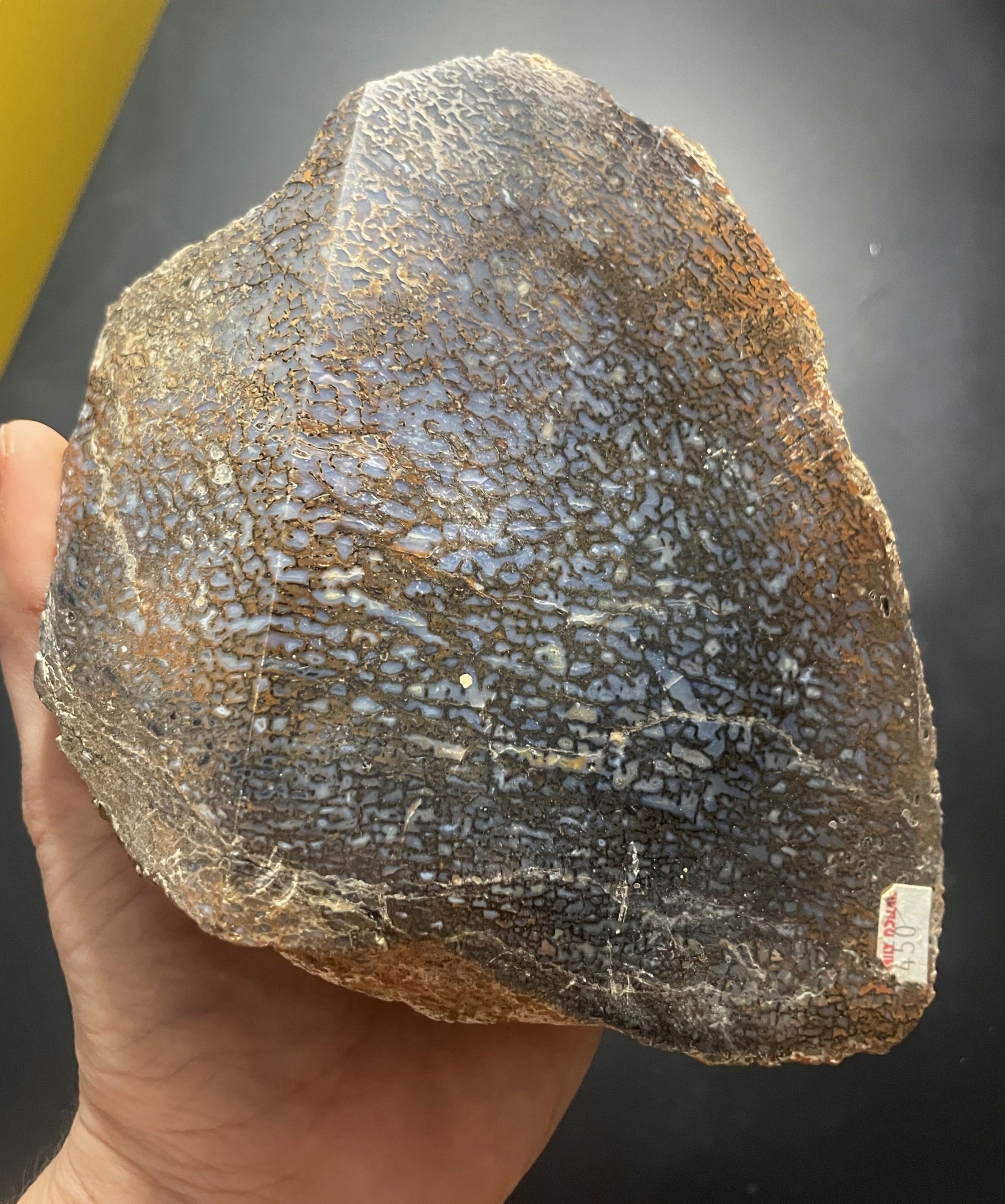 Nice Blue Large Cell Polished Agatized Dinosaur Gem Bone Specimen - 2.75lbs