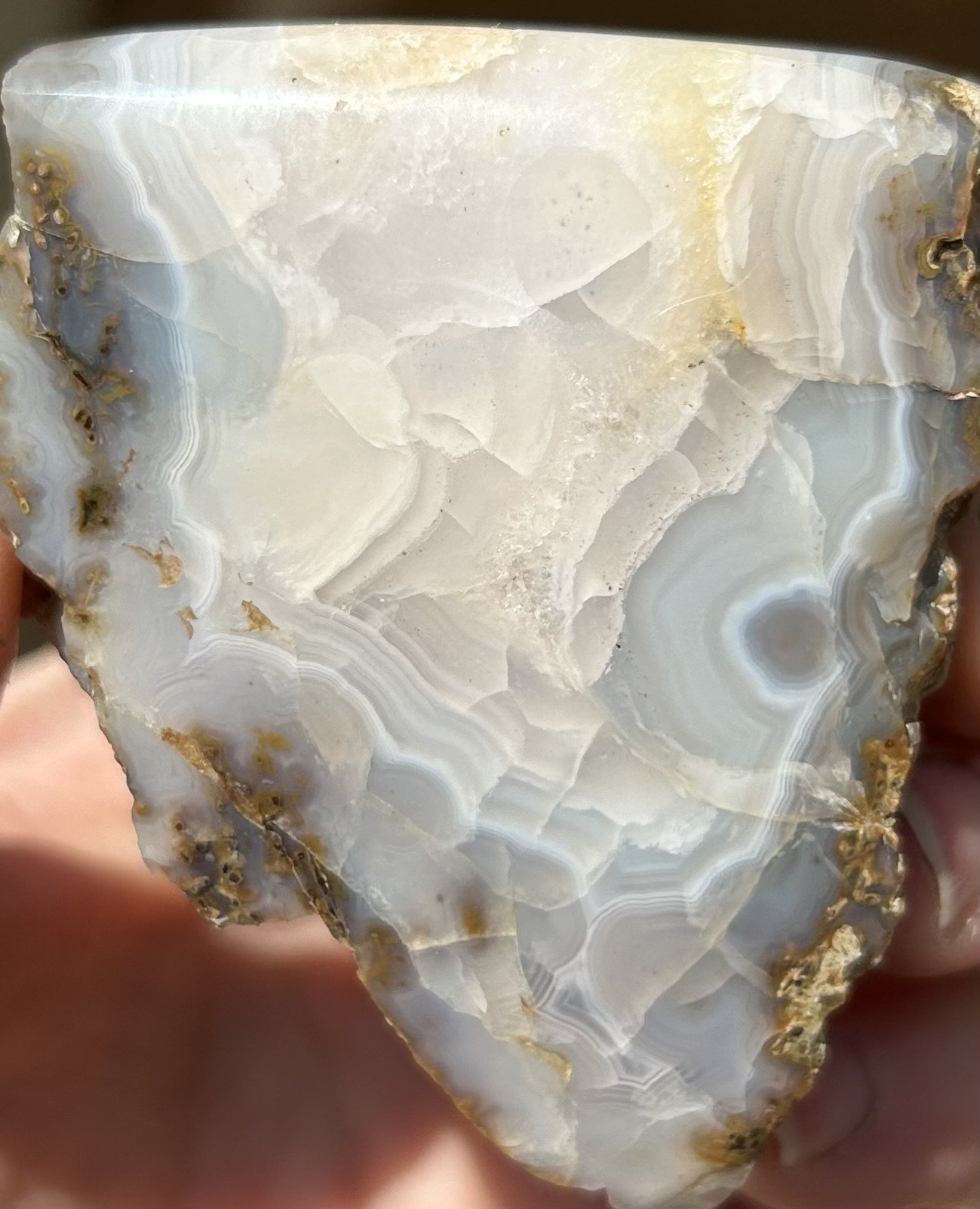 Nice Freeform Polished Agatized Dinosaur Gem Bone Fortification - UV Reactive