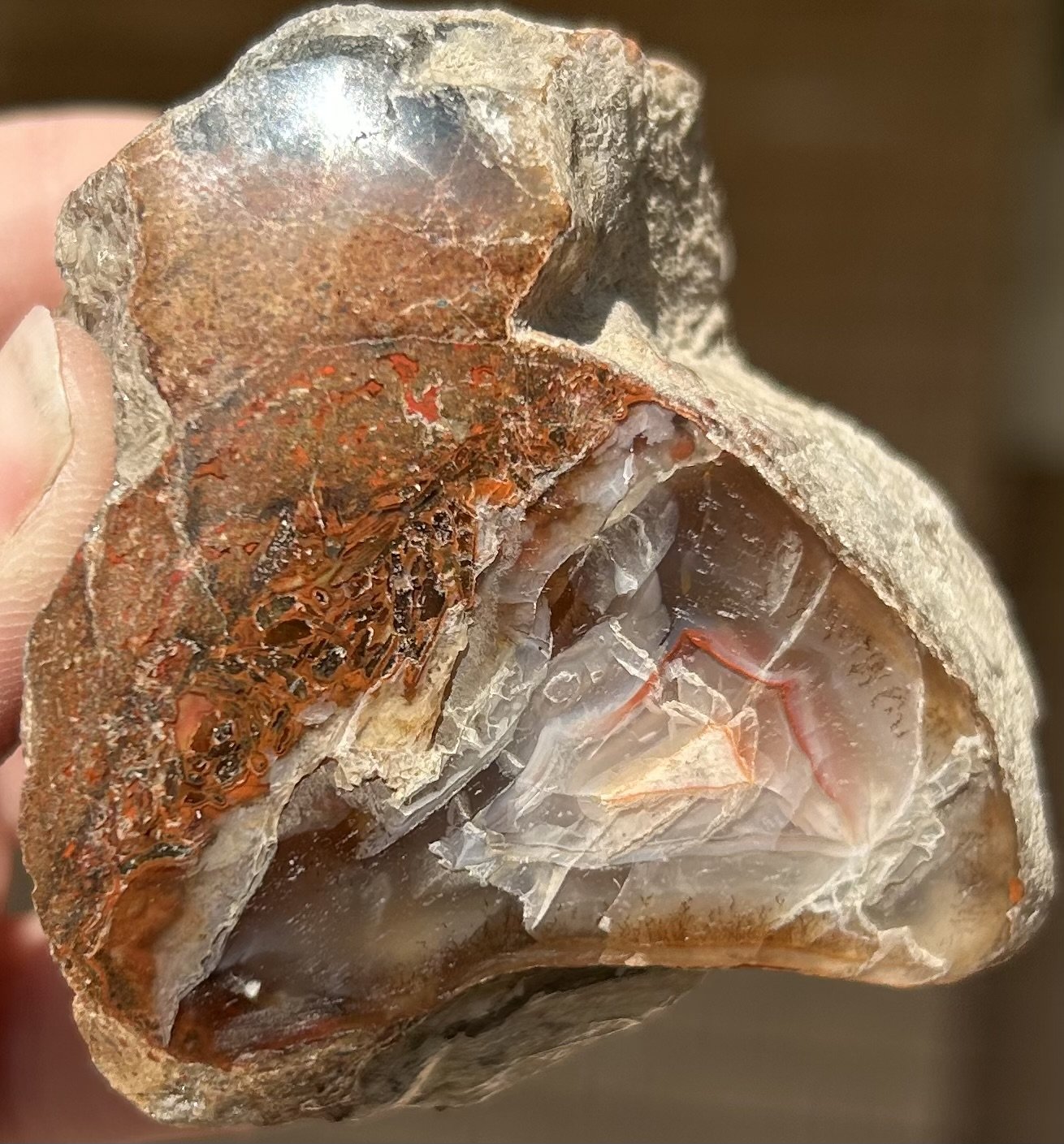 Nice Freeform Polished Dinosaur Gem Bone Fortification - UV Reactive