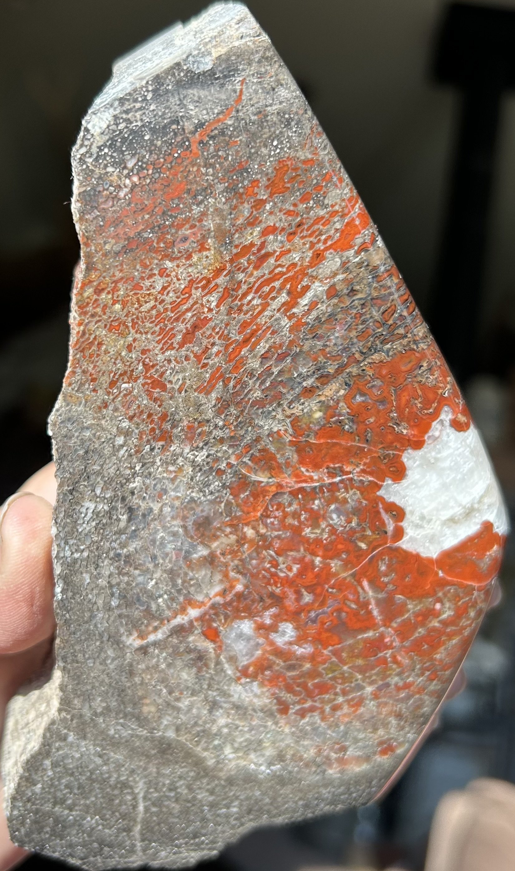 Beautiful Red Freeform Polished Dinosaur Gem Bone Specimen - Agatized Jurassic Dinosaur Bone