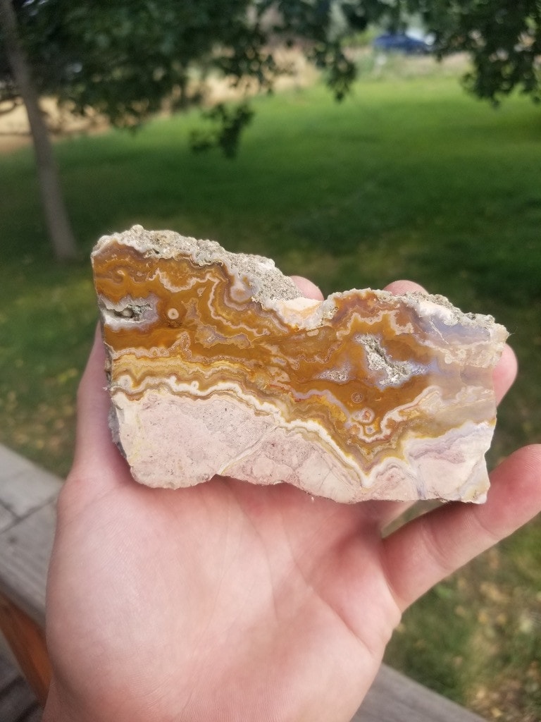 Unique Lysite AKA Blizzard Stone Agate Polished Specimen WY Druzy Pockets Banding Botryoidals