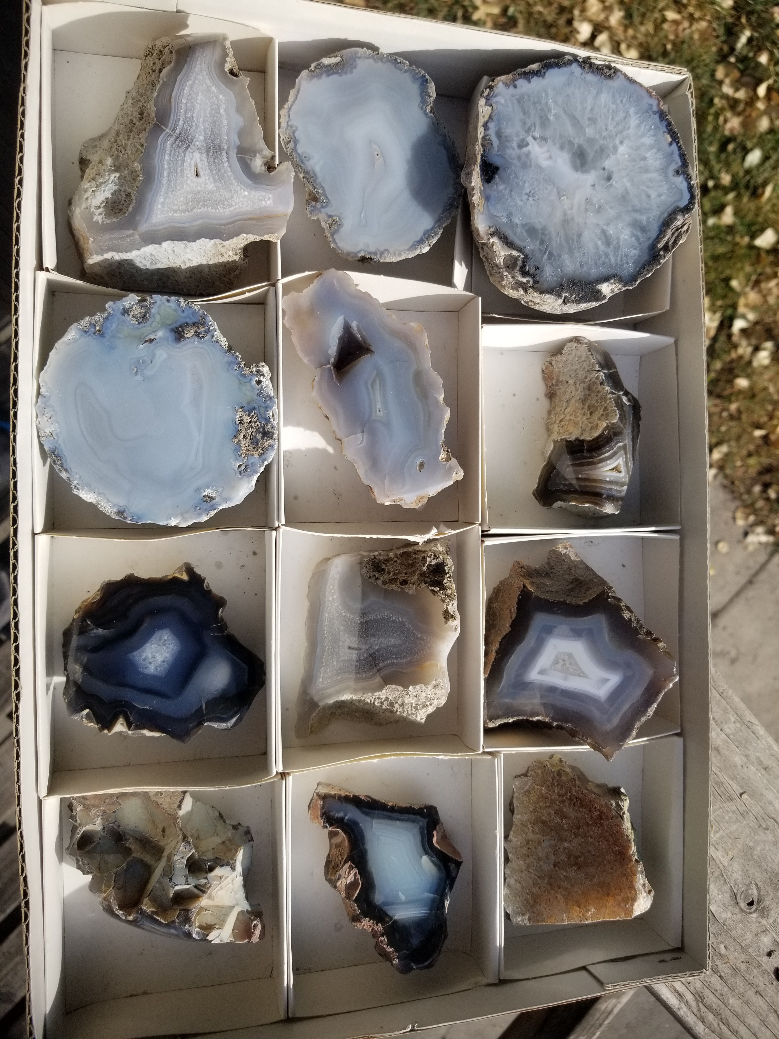 *Wholesale Flat - Beautiful Large Misc Polished Banded Agate Flat 12 Specimens 10+Lbs Translucent