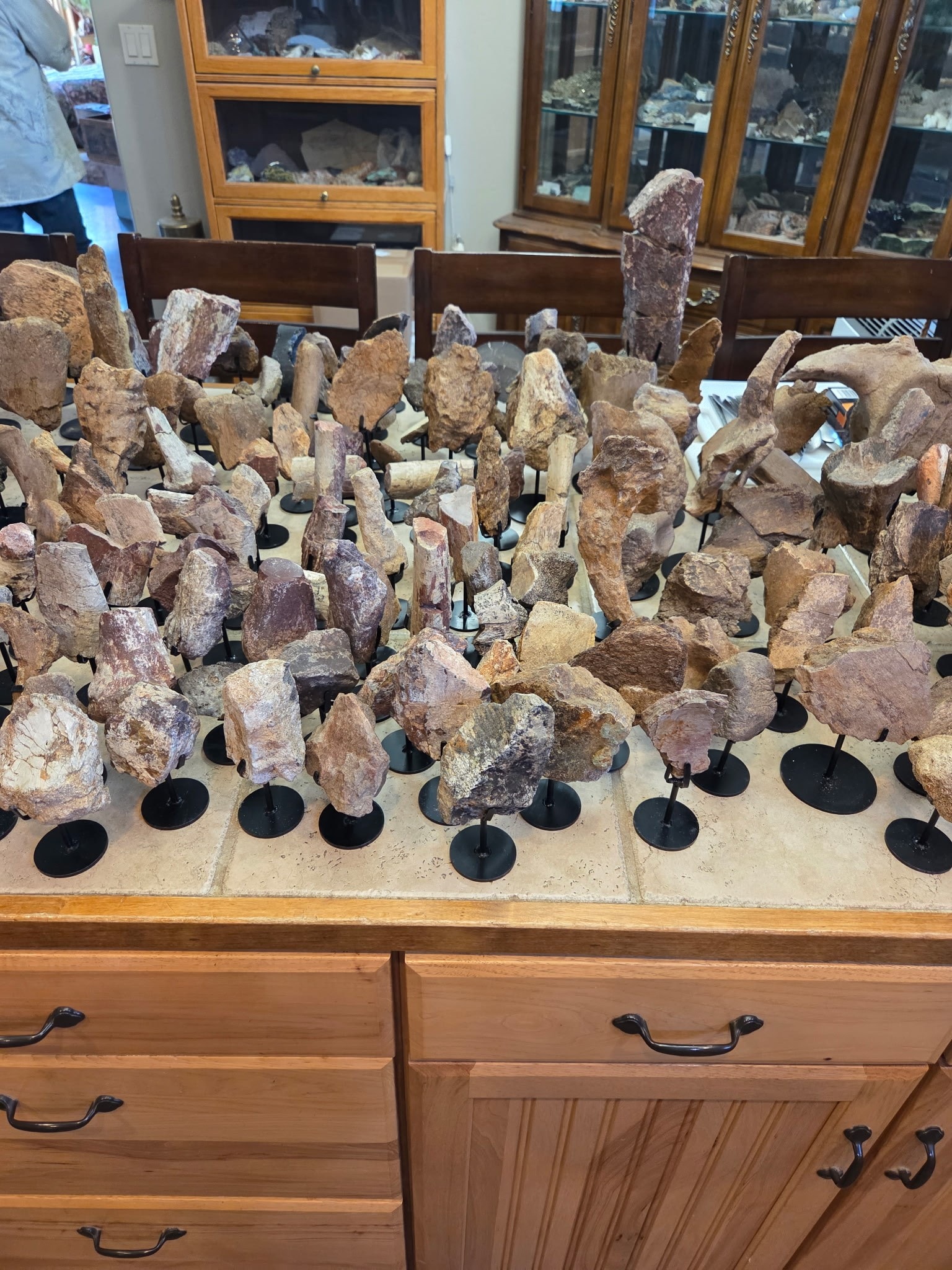 *Wholesale - Mixed Dinosaur Fossil Lot - Tell Us a Price & We'll Put a Batch Together For You
