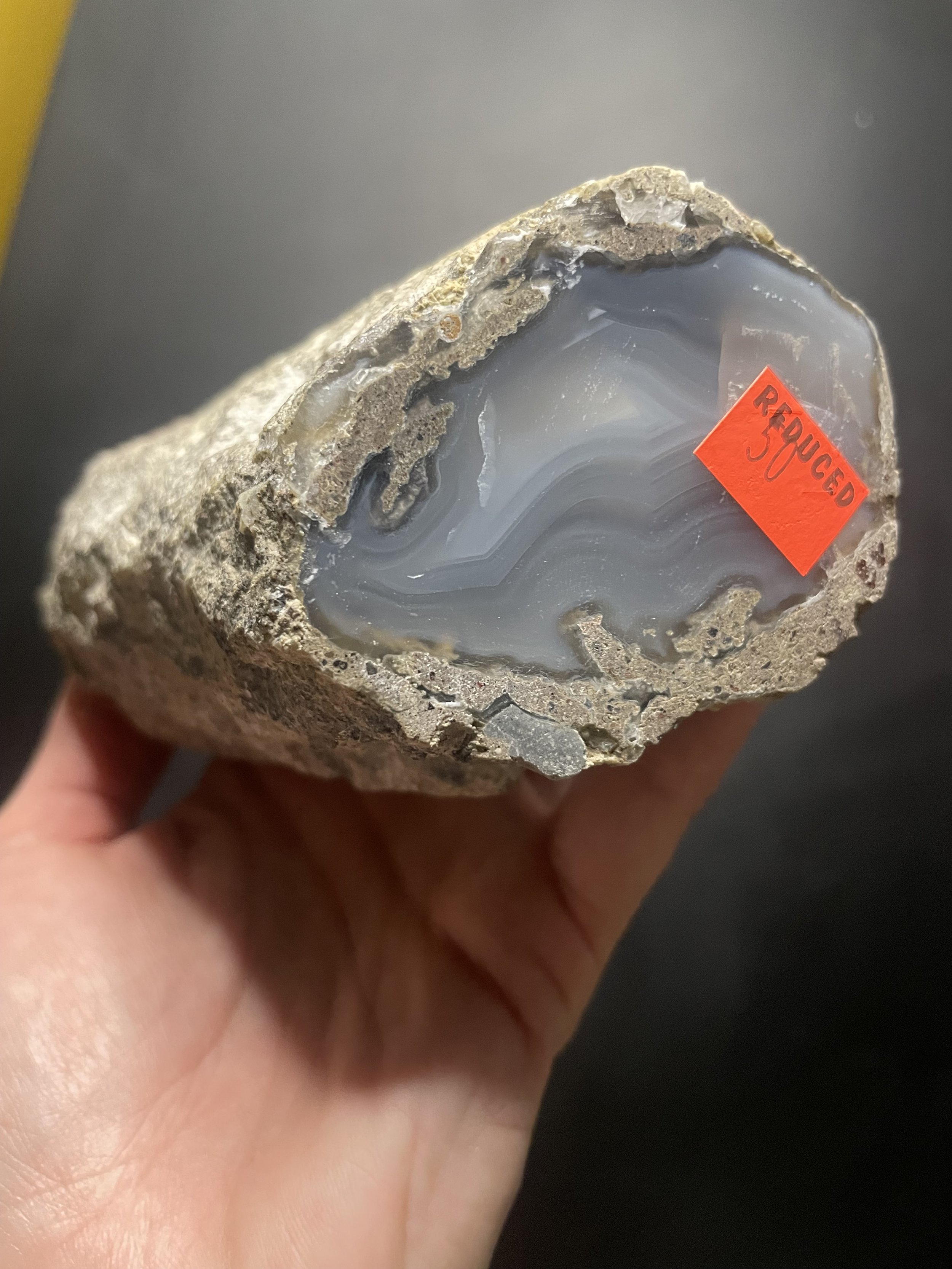 Awesome Rare Double End Polished Petrified Agatized Limb Cast-Wiggins Fork WY